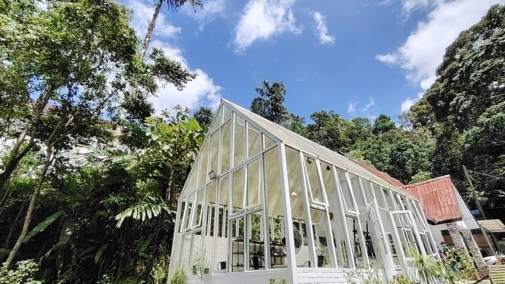 Modern glass house surrounded by lush green trees.